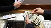 نظام جدید تخصیص ارز با اولویت کالا‌های حیاتی اجرا شد