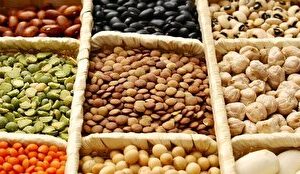 محدودیتی در ثبت سفارش حبوبات وجود ندارد/کمبودی در توزیع حبوبات ایام محرم نداریم