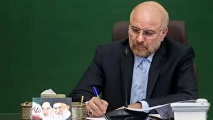 با انتشار تصویر مهار پربازدید بیرانوند/ قالیباف: ما اینگونه از سرزمینمان دفاع میکنیم