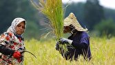 بانک مرکزی رشد اقتصادی سال ۱۴۰۴ را منتشر کرد