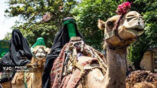 اجتماع زنان با محوریت حضرت زینب (س) یک استراتژی هدفمند و حکیمانه بود