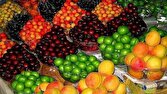 کمبودی در عرضه میوه و صیفی مراسم تشییع رهبری وجود ندارد