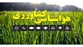 کشاورزان و دامداران زمان وقوع رعد و برق به مکانهای ایمن پناه ببرند