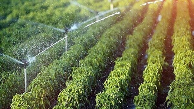 سامانههای نوین آبیاری راهبرد کلیدی کشاورزی در برابر بحران آب