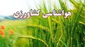 کشاورزان از نهالهای جوان در برابر وزش باد حفاظت کنند