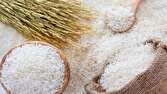 برنج تولید داخل ۶۰ درصد نیاز بازار را پوشش می‌دهد