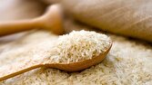 ضرورت واردات ۴۰۰ هزار تن برنج طی ماه های آتی