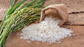 سالانه ۳ میلیون و ۲۰۰ هزار تن برنج در کشور مصرف میشود