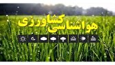 کشاورزان از سمپاشی و کوددهی در ساعات بعدازظهر اجتناب کنند