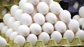 مشکلی در تامین و تولید تخم مرغ نداریم/پیش بینی تولید ۹۵ هزار تن تخم مرغ در مرداد