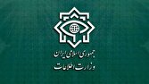 وزارت اطلاعات: خبرنگاران نقش بارزی در ناکامی سربازان رسانهای دشمن داشتند