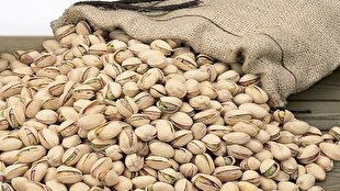 یک گام تا آغاز معاملات گواهی سپرده پسته در بورس کالا/ چه کسانی میتوانند گواهی پسته خریداری کنند؟