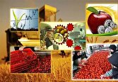 بهره برداری از ۱۹۹ پروژه صنایع تبدیلی و غذایی در هفته دولت